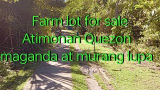 Farm lot for sale Atimonan Quezon 9773sqm 23mtitle [upl. by Cavill]