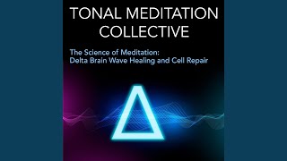 Hypothalamus and Suprachiasmatic Nucleus Scn Activation for Healing Circadian Rhythms and [upl. by Idisahc]