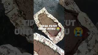 Getah isi tanah rubbertree latex rubber rubberband satisfying [upl. by Atiuqat734]