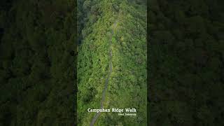 Campuhan Ridge Walk [upl. by Aralomo]