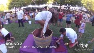 Grape Stomp amp Harvest Festival 2016 [upl. by Quint]