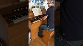 Eine Minute Harmonium Louis Raffy Reflets de vitraux Verset I DDur [upl. by Bonne548]