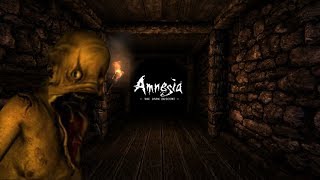 Amnesia  OH WTF ARE YOU  Playthrough 4 [upl. by Cohl197]