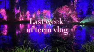 Last week of the autumn term  Scottish school vlog [upl. by Gnoy]