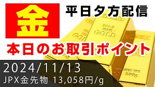 【金先物】本日のお取引ポイント（2024年11月13日） [upl. by Sidonius]