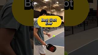 Funniest point ever pickleball funny [upl. by Krysta650]