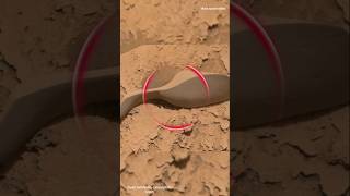 Mars Curiosity Rover Sol 730 shorts jpl space curiosityrover nasa mars marsperseverance [upl. by Ahseenat477]