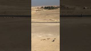 Climbing one of the pyramids in Saqqara🇪🇬 [upl. by Naneik]