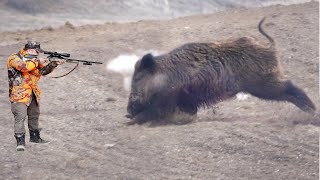 SHOCKING SHOOTS The most shocking Wild Boar shot of all time TOP 200 [upl. by Amein189]