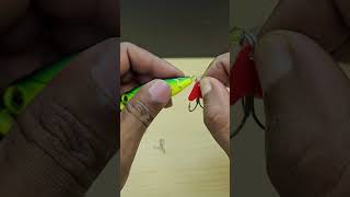 BigFish lure setup skill 🎣 fishing fishingmethods fishingtricks fishingtips lurefishing [upl. by Mharba174]