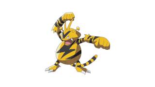 Pokemon Cries  Electabuzz [upl. by Kcoj]