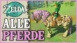 Alle 6 Einzigartigen Pferde  Zelda Tears of the Kingdom [upl. by Brinkema]