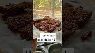 Granola bars from scratch [upl. by Drofnats]