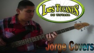 Los Tucanes De Tijuana  Soy Todo Tuyo y Rehabilitado Bass Cover [upl. by Masera]