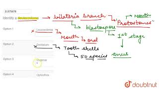 Identify a deuterostome [upl. by Corkhill57]