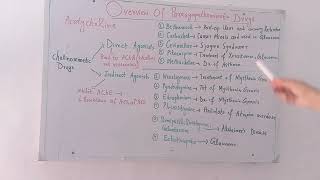 Overview Of Parasympathomimetic DrugsAgentsAutonomic Drugs Pharmacology [upl. by Akerdnuhs409]