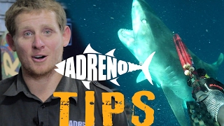 Spearfishing with Sharks Tigers White Pointers Bullsharks  ADRENO [upl. by Leasim]