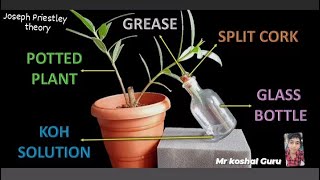 Joseph Priestley theoryin NCRTquot experiment 🥼🧪 or oxygen discovered [upl. by Ahsias278]