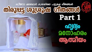 Syro Malabar Priestly Ordination SongsPart I  Fr Sinu  Deepa Binu  Binu Mathirampuzha [upl. by Kendyl]