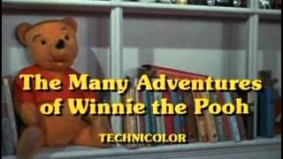 The Many Adventures of Winnie the Pooh  04  Rumbly in My Tumbly [upl. by Jeuz]