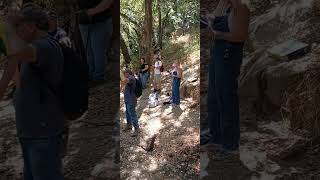 look whos at Spahn ranch [upl. by Jenelle]