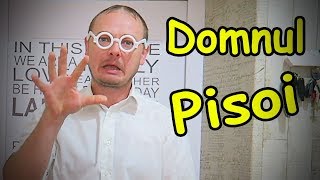 Domnul Pisoi BONA Pentru Alex [upl. by Emya431]