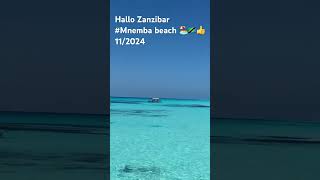 Zanzibar Mnemba Island 🇹🇿🏖️202411 [upl. by Ennaitak]