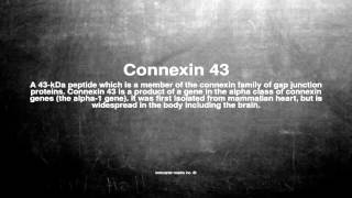 Medical vocabulary What does Connexin 43 mean [upl. by Rorry]