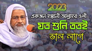 2023 সালের অন্তর শীতল করা নতুন বয়ান  Mufti Delwar Hossain 2023  মুফতি দিলাওয়ার হোসাইন ওয়াজ [upl. by December]