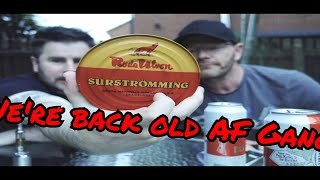 Fermented Fish challenge Surströmming smellyFish Fishchallange fermentedfish [upl. by Aniat]