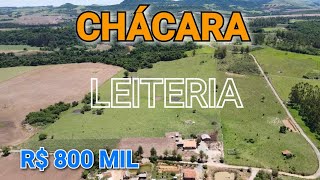 VENDESE CHÁCARA COM LEITERIA COMPLETA  VACAS  BEZERROS  TOURO  R 800 MIL C216 [upl. by Nytsirt331]