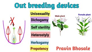 Outbreeding Devices in Hindi  Reproduction in lower and higher plants [upl. by Ardnasela559]