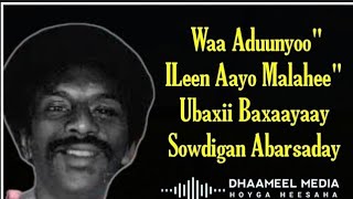 Heestii  Ubaxii Baxaayay Sowdigan Abaarsaday AUN Maxamed Warsame Qasaali  Kaban Xul Ah With Lyrics [upl. by Bashuk799]