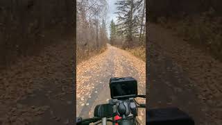 Preview of EBike Ride in Red Deer AB  Scenic 🍂 Fall Ride through Red Deer electricbicycle [upl. by Khai830]