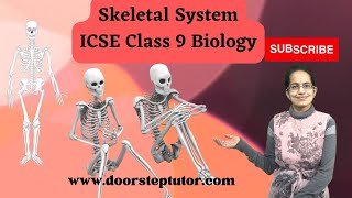 Skeletal System  Axial and Appendicular Skeleton  ICSE Class 9 Biology [upl. by Aihk207]