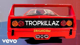 Tropkillaz Rael Dow Raiz  Ziriguidum [upl. by Tuck]