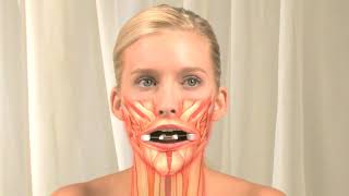 Facial Flex Muscle Animation [upl. by Antone]