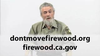 Forest Pathologist Martin MacKenzie Danger from Invasive Pests in Firewood [upl. by Aidile]