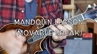 Wayfaring Stranger Mandolin Lesson [upl. by Ticon]