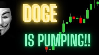 Dogecoin is About to Explode With the Help of Bitcoin [upl. by Atinus970]