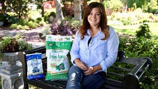 How Iron Tone Can Help Plants Grow [upl. by Stefanie]