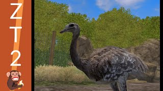 Darwins Rhea Exhibit Speed Build  Zoo Tycoon 2 [upl. by Ecenahs255]