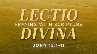 Lectio Divina Praying with Scripture – John 15111 [upl. by Cumine]