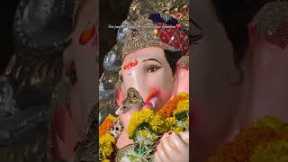 Bappa ❤️ trendingshorts explorepage pti bappamorya lalbaughcharaja like subscribe song love [upl. by Neri498]