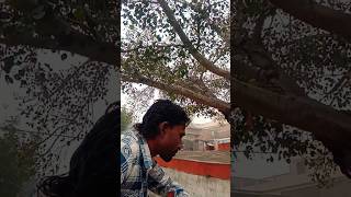 Tera gam agar na hota [upl. by Alrich]