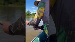 PESCA DA PIRAÍBA  RIO ARAGUAIA [upl. by Ayle]