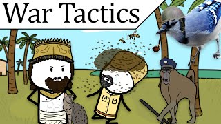 Wacky War Tactics in another Nutshell [upl. by Odrautse]