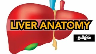 Liver Anatomy in Tamil  detailed explanation  MED TAMIL [upl. by Pascasia]