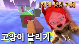 직접 고양이가 되어 미친듯이 달려보는 게임 [upl. by Curcio919]