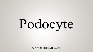 How To Say Podocyte [upl. by Rene198]